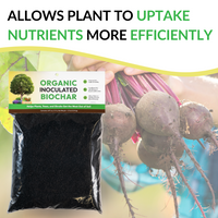 Organic Inoculated Biochar - 64oz (Case of 6 Units) — thumbnail 5