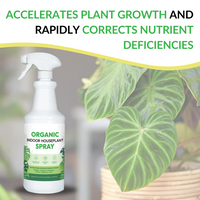 Organic Indoor Houseplant Spray - 32oz — thumbnail 3