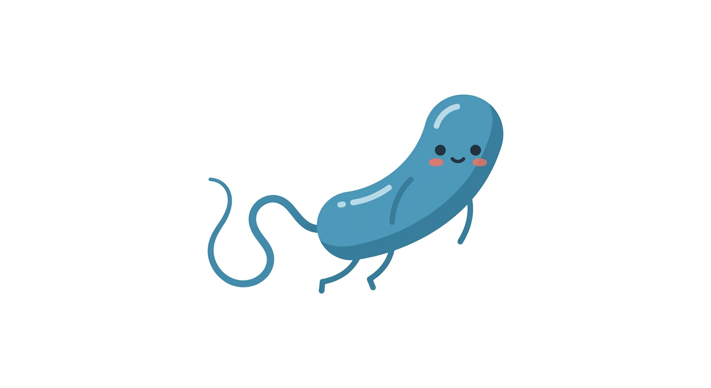 Pseudomonas
